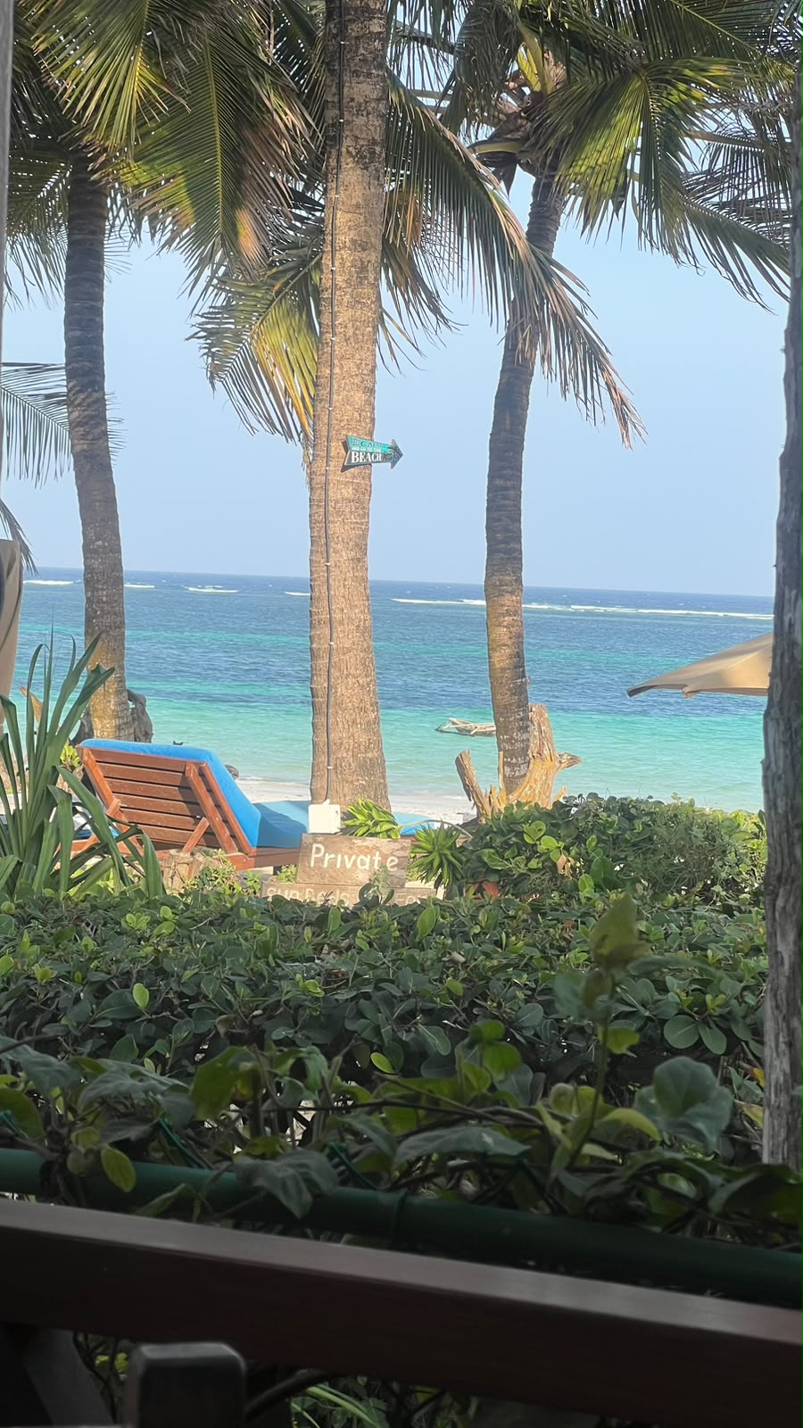 Palm-fringed beach on the coast